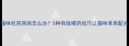 猫咪吃药哭闹怎么办5种有效喂药技巧让猫咪乖乖配合