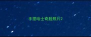 手捏哈士奇脸照片