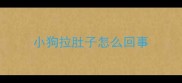 小狗拉肚子怎么回事
