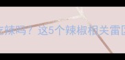 拉布拉多能吃辣吗这5个辣椒相关雷区你一定要避开