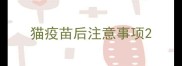 猫疫苗后注意事项