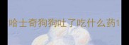 哈士奇狗狗吐了吃什么药