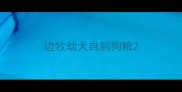 边牧幼犬自制狗粮