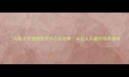 乌鲁木齐宠物收养中心全攻略本地人私藏的领养指南