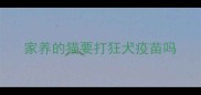 家养的猫要打狂犬疫苗吗