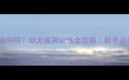 两个月大狗狗会叫吗幼犬夜哭训练全攻略新手必看养狗避坑指南