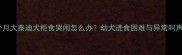 两个月大泰迪犬拒食哭闹怎么办幼犬进食困难与异常叫声全