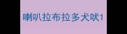 喇叭拉布拉多犬吠