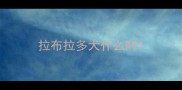 拉布拉多犬什么时