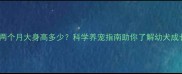 秋田犬两个月大身高多少科学养宠指南助你了解幼犬成长标准