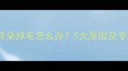 金毛犬左侧耳朵掉毛怎么办5大原因及专业护理指南