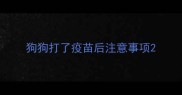 狗狗打了疫苗后注意事项