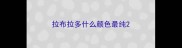 拉布拉多什么颜色最纯