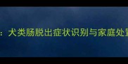 宠物紧急救援犬类肠脱出症状识别与家庭处置全流程指南
