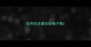 拉布拉多喜欢咬袖子拽