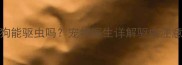 未接种疫苗的狗狗能驱虫吗宠物医生详解驱虫注意事项及科学方案