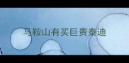 马鞍山有买巨贵泰迪
