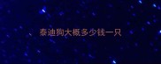泰迪狗大概多少钱一只