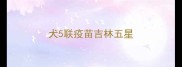 犬5联疫苗吉林五星