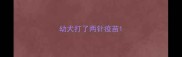 幼犬打了两针疫苗