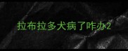 拉布拉多犬病了咋办