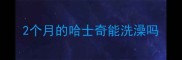 2个月的哈士奇能洗澡吗