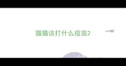 猫猫该打什么疫苗