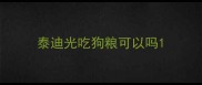 泰迪光吃狗粮可以吗
