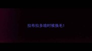拉布拉多啥时候换毛