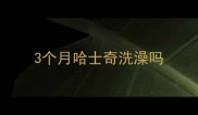 3个月哈士奇洗澡吗