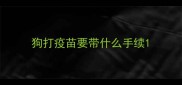 狗打疫苗要带什么手续