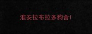 淮安拉布拉多狗舍