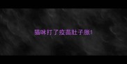 猫咪打了疫苗肚子胀