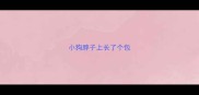 小狗脖子上长了个包