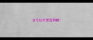 金毛幼犬便宜狗粮
