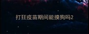 打狂疫苗期间能摸狗吗