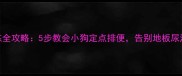 幼犬如厕训练全攻略5步教会小狗定点排便告别地板尿渍和异味困扰