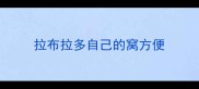 拉布拉多自己的窝方便