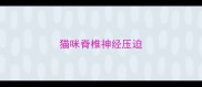 猫咪脊椎神经压迫