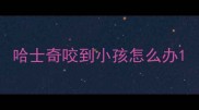 哈士奇咬到小孩怎么办