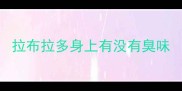 拉布拉多身上有没有臭味
