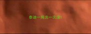 泰迪一周洗一次澡