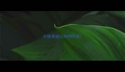 训练泰迪让狗狗听话