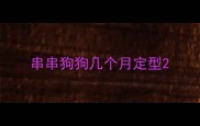 串串狗狗几个月定型
