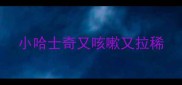 小哈士奇又咳嗽又拉稀