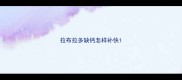 拉布拉多缺钙怎样补快