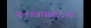哈士奇的智商几岁