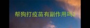帮狗打疫苗有副作用吗