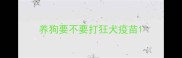 养狗要不要打狂犬疫苗