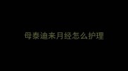 母泰迪来月经怎么护理